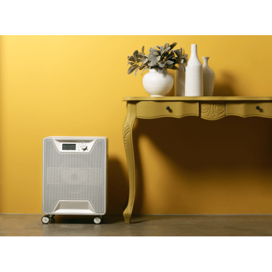 Airgle AG600 disinf