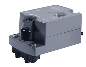 Polar Bear VDT 04