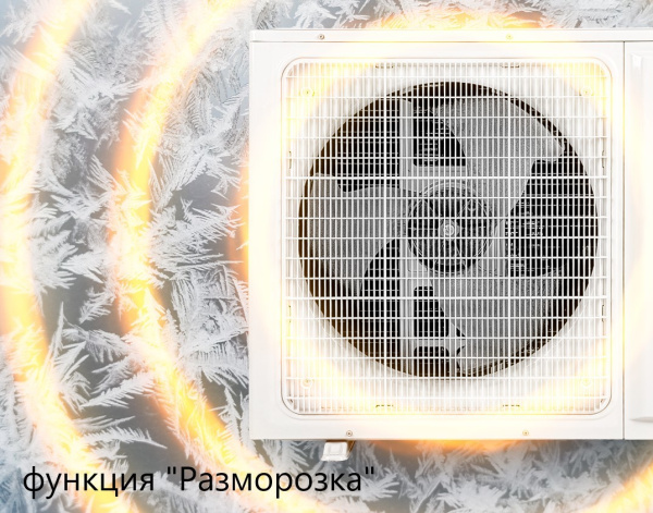 Loriot LAC-24TD