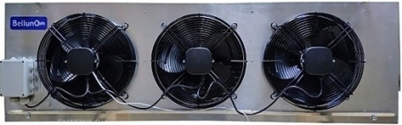 Belluna iP-5