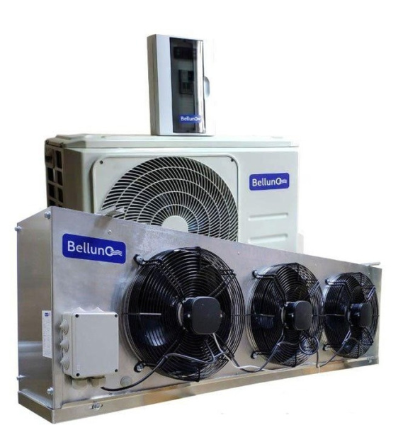 Belluna iP-5