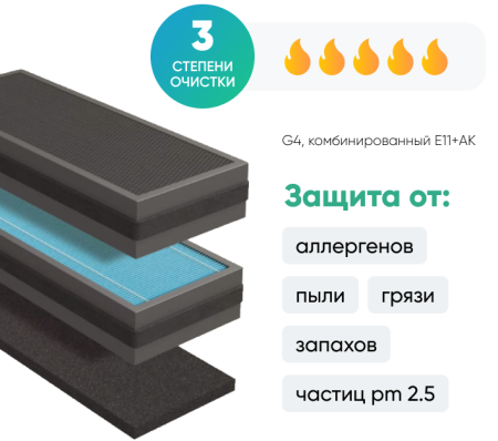 Tion BioX Standard